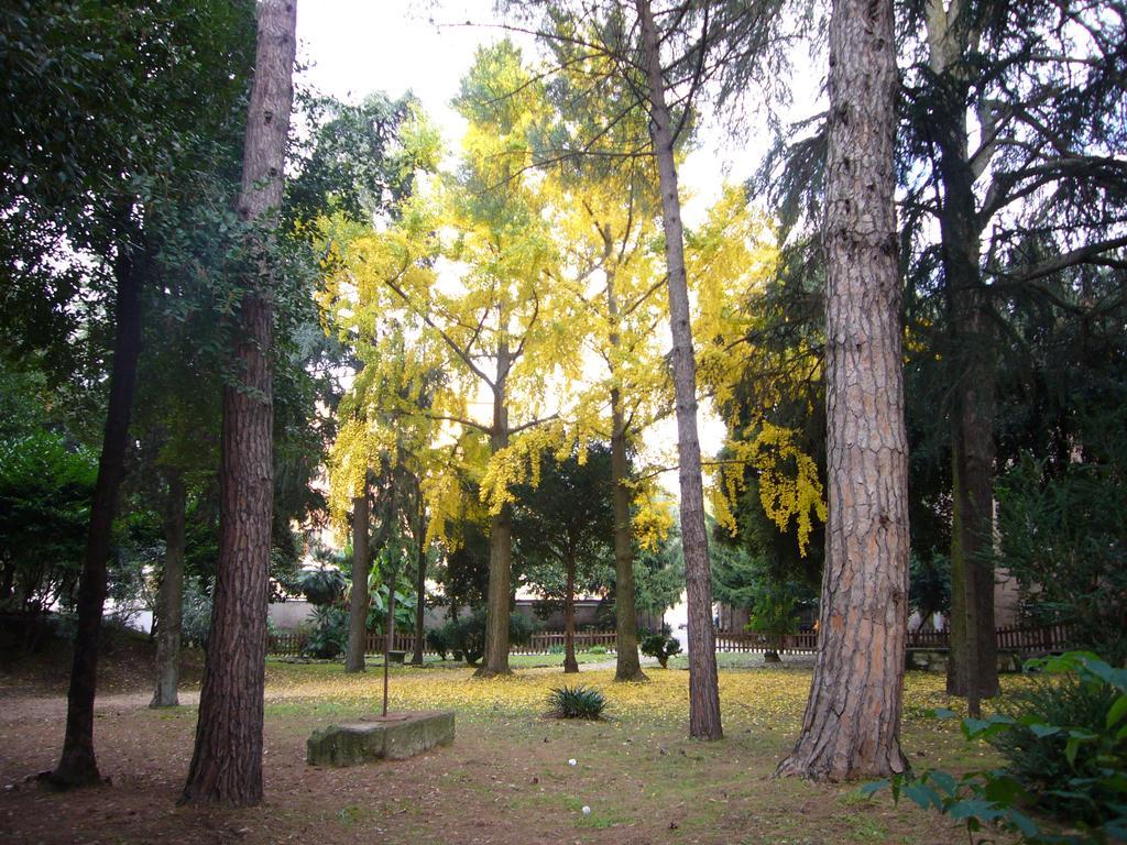 Villa Altieri Albano Laziale Buitenkant foto