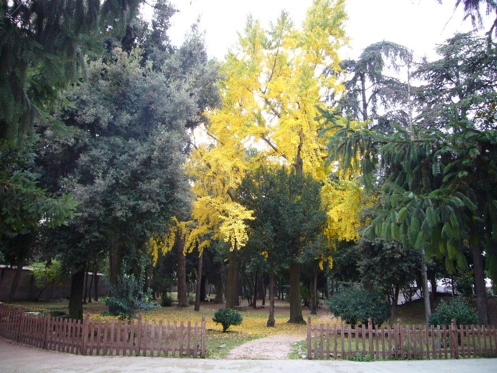 Villa Altieri Albano Laziale Buitenkant foto