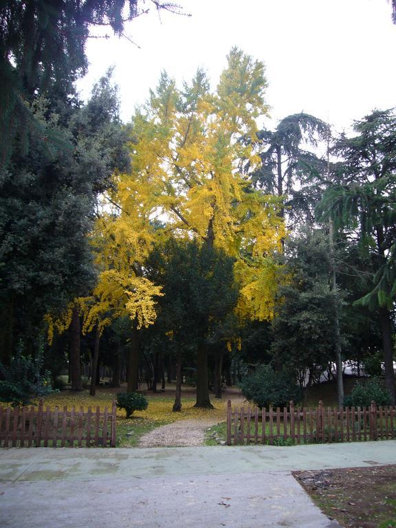 Villa Altieri Albano Laziale Buitenkant foto