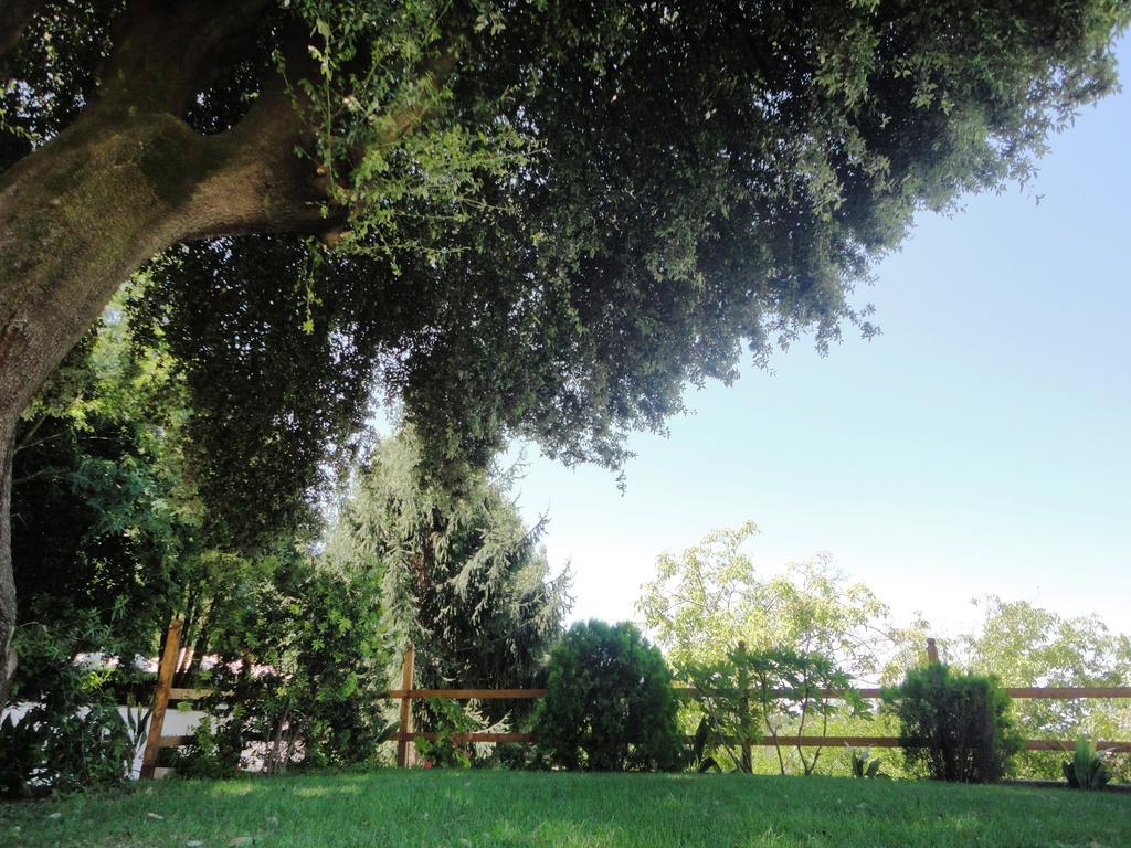 Villa Altieri Albano Laziale Buitenkant foto