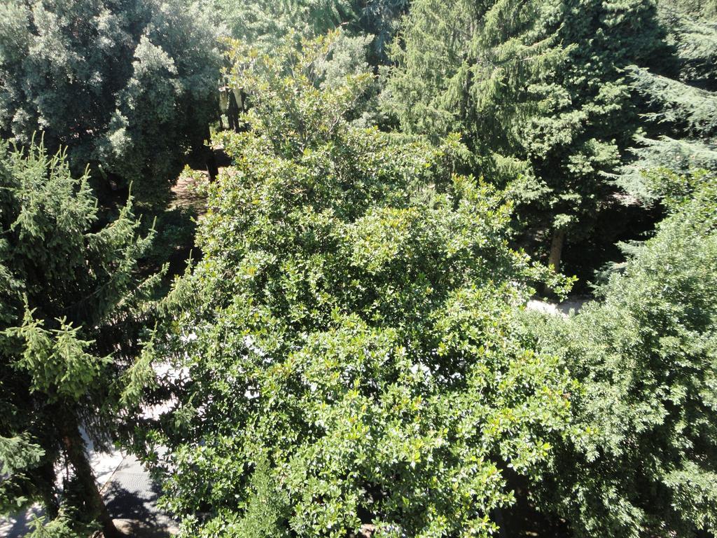 Villa Altieri Albano Laziale Buitenkant foto